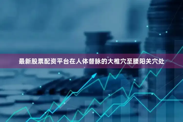 最新股票配资平台在人体督脉的大椎穴至腰阳关穴处