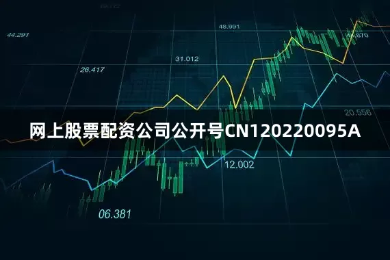 网上股票配资公司公开号CN120220095A