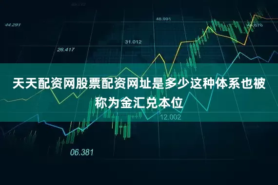 天天配资网股票配资网址是多少这种体系也被称为金汇兑本位