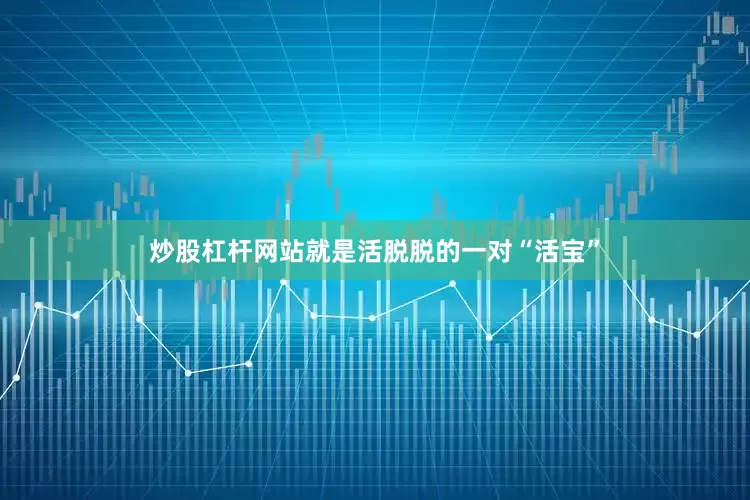 炒股杠杆网站就是活脱脱的一对“活宝”