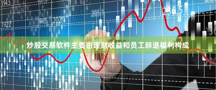 炒股交易软件主要由理财收益和员工辞退福利构成