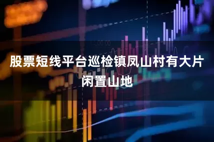 股票短线平台巡检镇凤山村有大片闲置山地